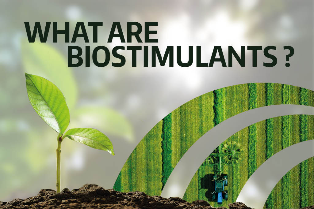 What are bio stimulants